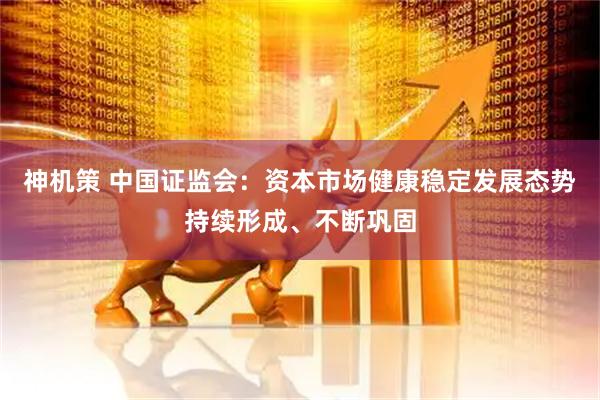 神机策 中国证监会：资本市场健康稳定发展态势持续形成、不断巩固