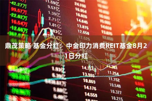 鼎茂策略 基金分红：中金印力消费REIT基金8月21日分红