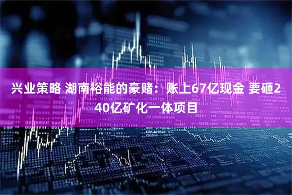 兴业策略 湖南裕能的豪赌：账上67亿现金 要砸240亿矿化一体项目