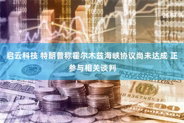 启云科技 特朗普称霍尔木兹海峡协议尚未达成 正参与相关谈判